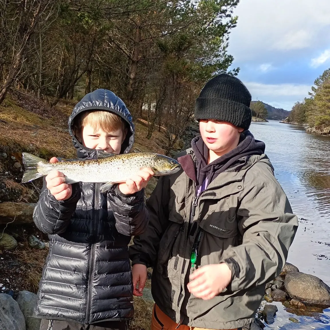 Sea trout caught on Fishbrain