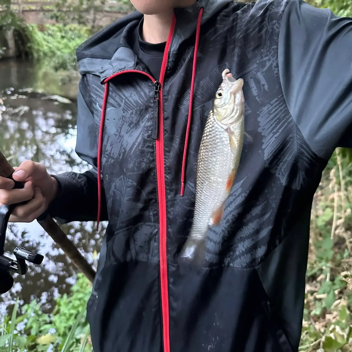 European chub caught on Fishbrain