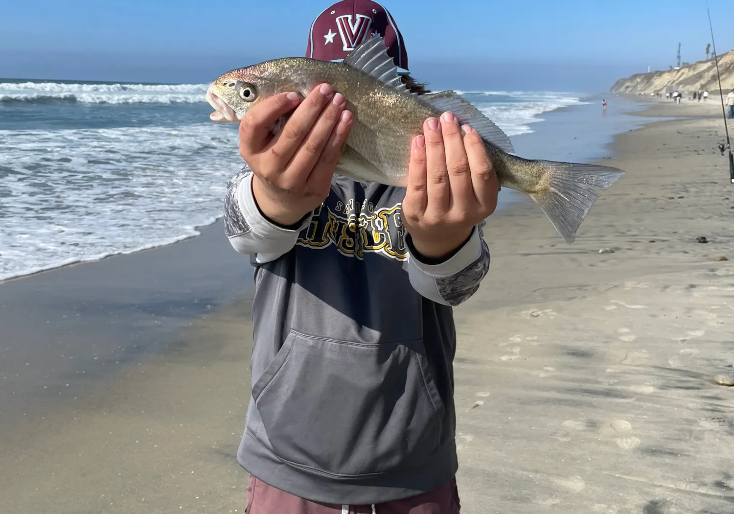 Spotfin croaker