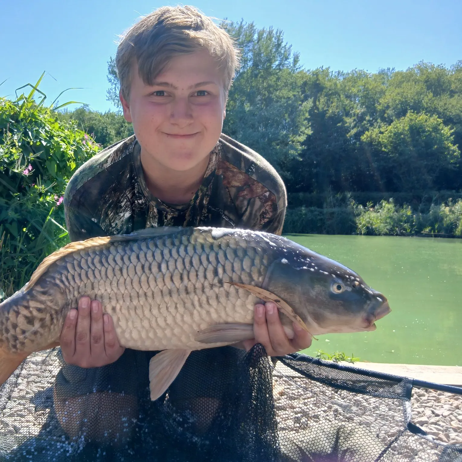 Common carp caught on Fishbrain
