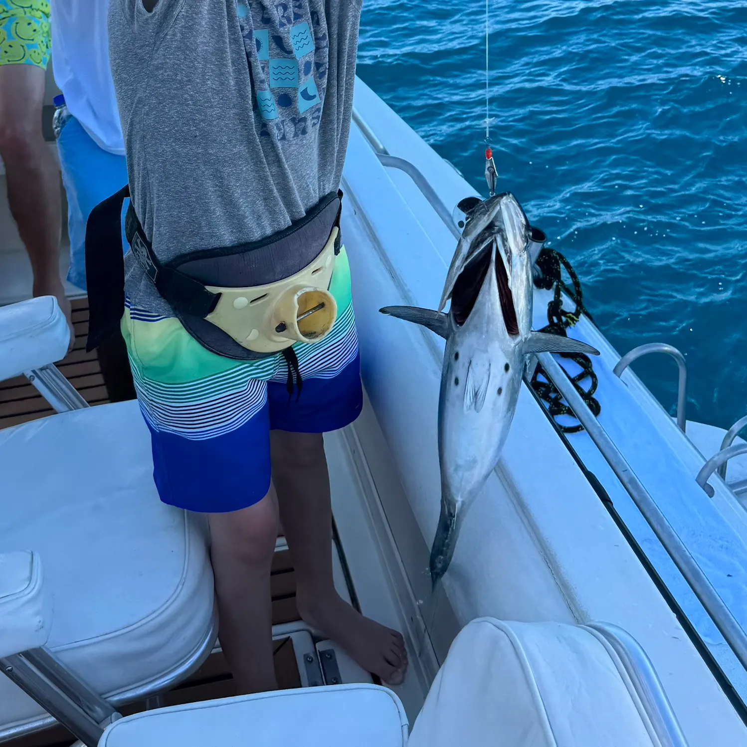 Blackfin tuna caught on Fishbrain
