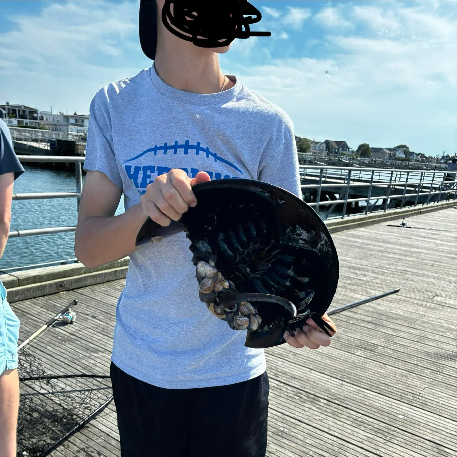 The most recent Atlantic horseshoe crab catches on Fishbrain