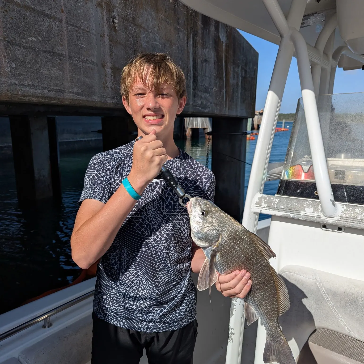 The most recent Black drum catches on Fishbrain