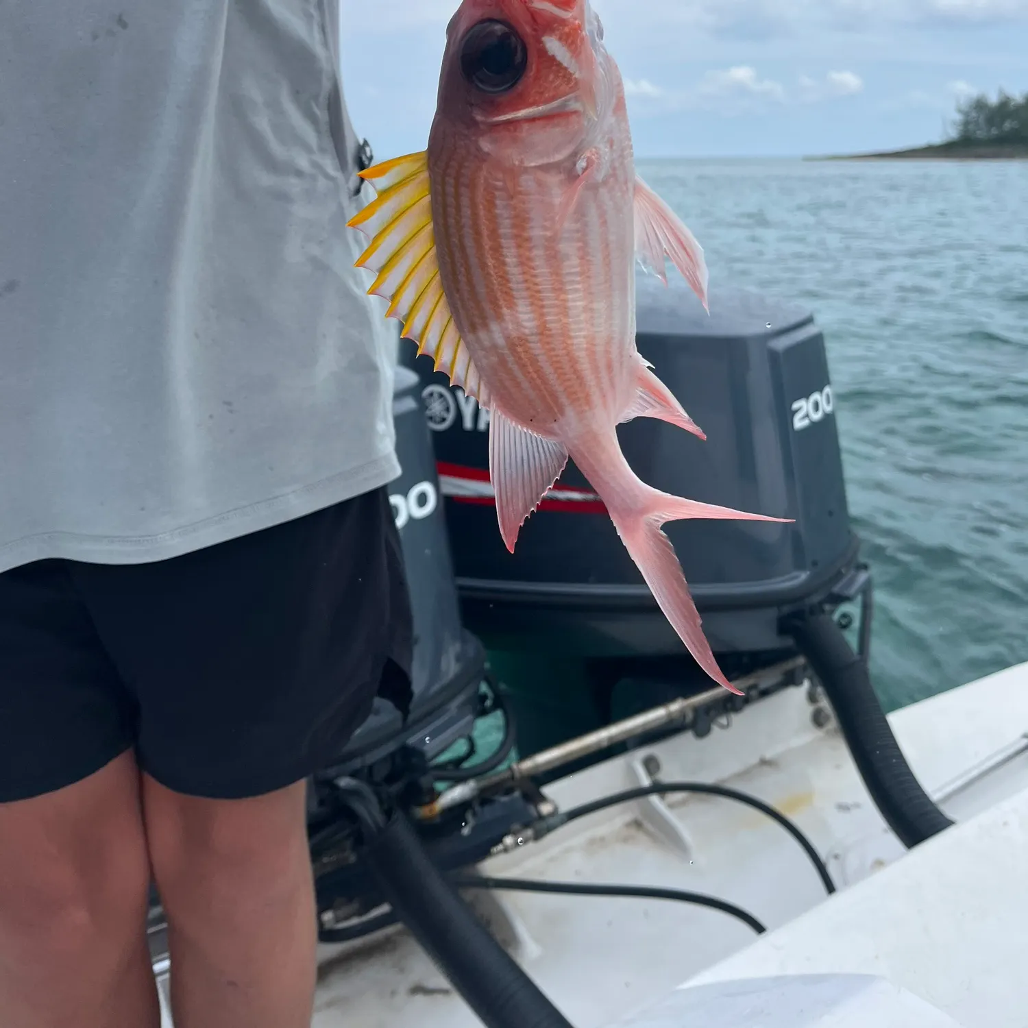 most liked catch image