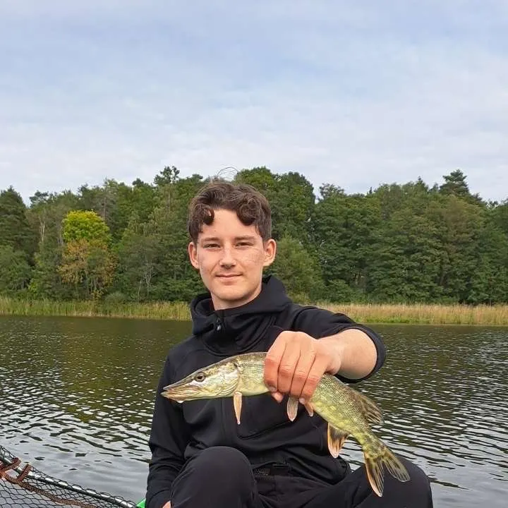 Northern pike caught on Fishbrain