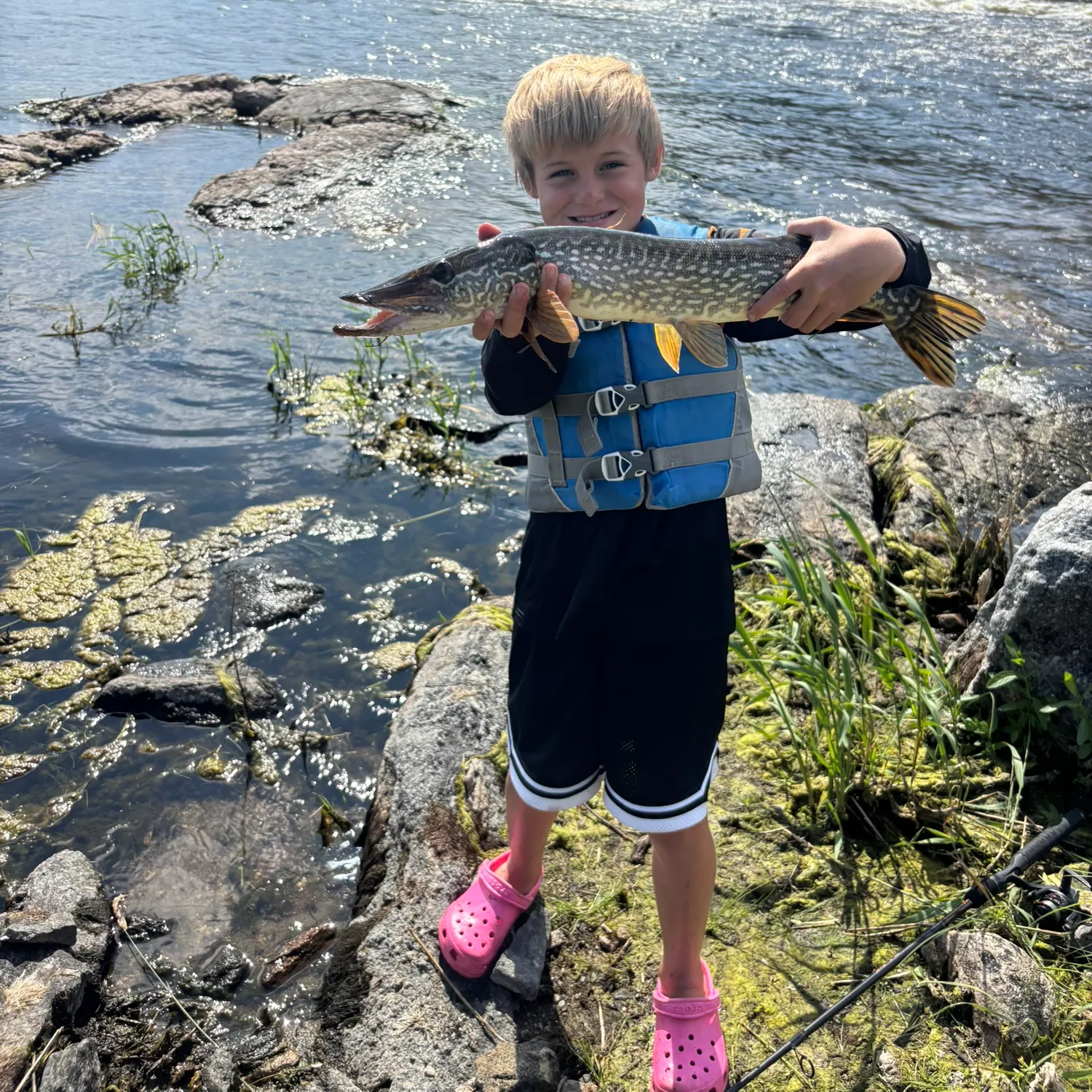 Fish caught on Fishbrain