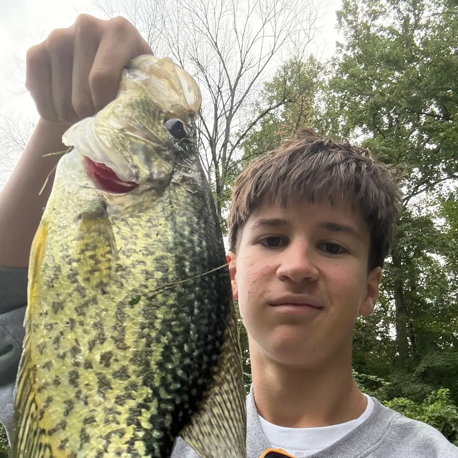 Black crappie caught on Fishbrain