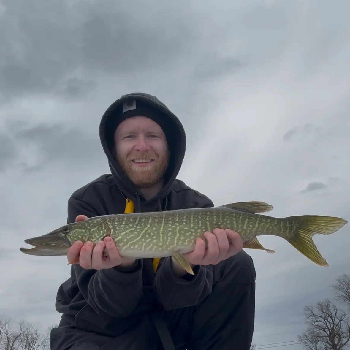 The most recent Northern pike x Chain pickerel catches on Fishbrain