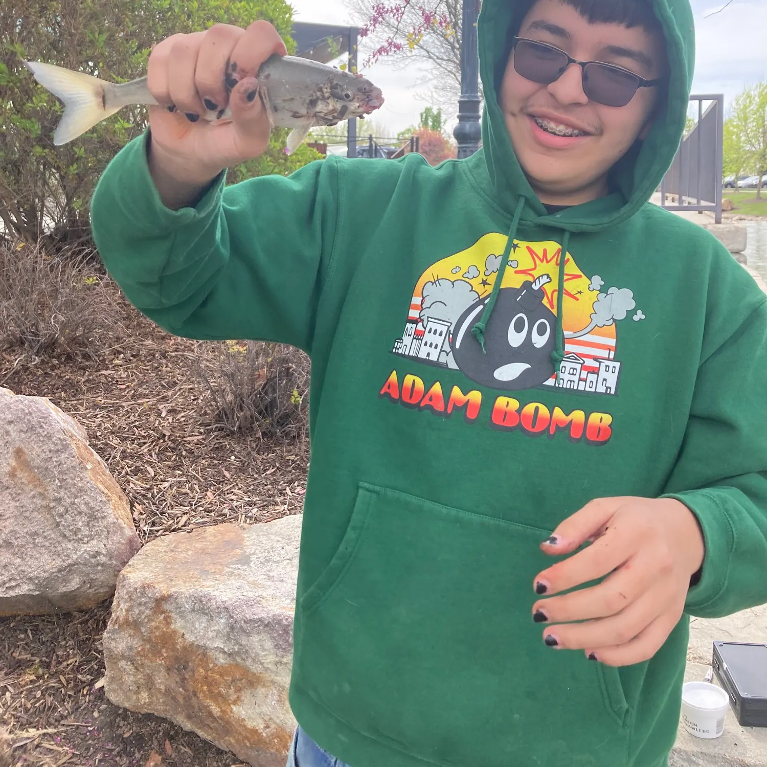 The most recent Lake whitefish catches on Fishbrain