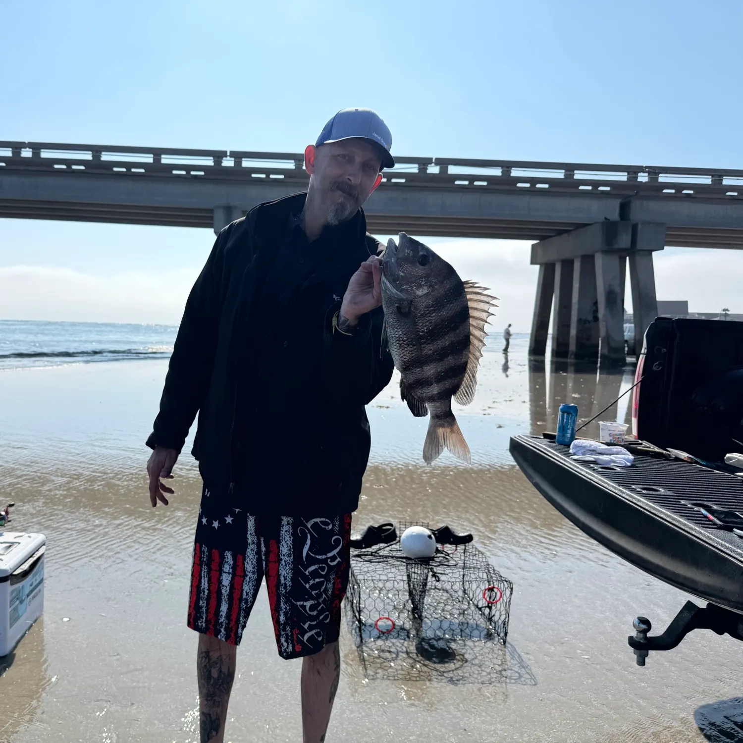 The most recent Sheepshead catches on Fishbrain
