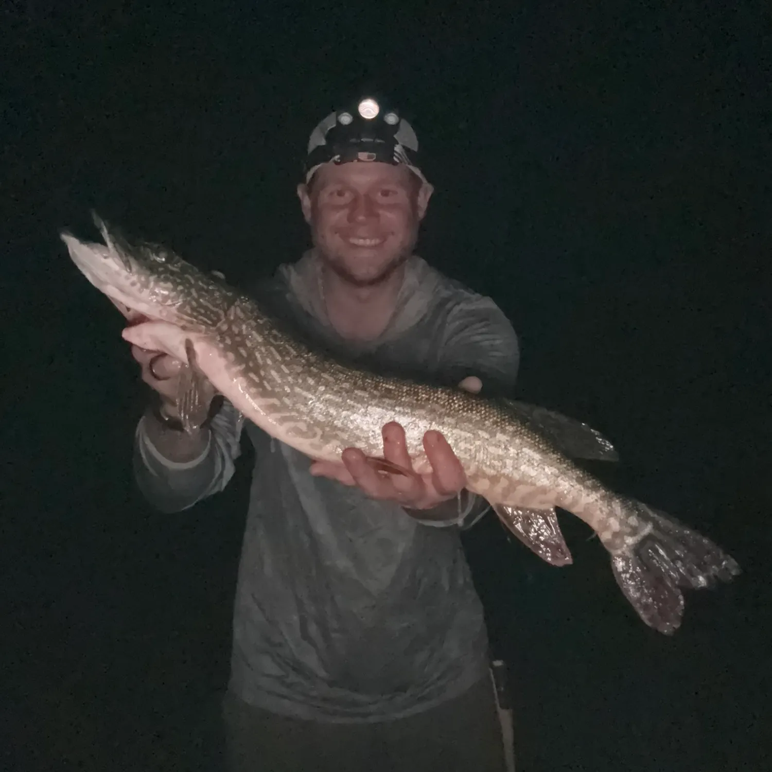 Northern pike caught on Fishbrain