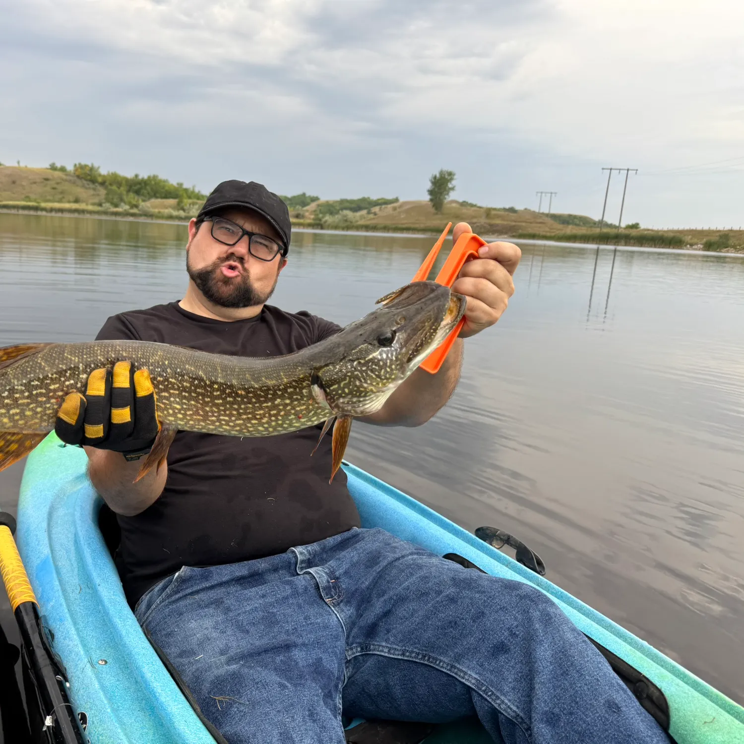 Northern pike caught on Fishbrain