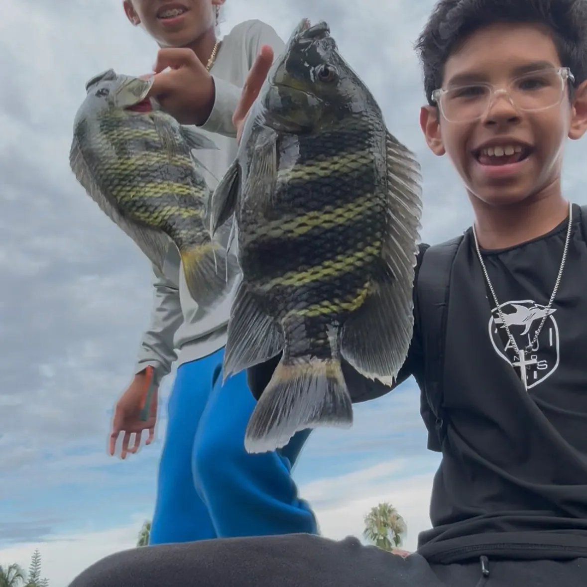 The most recent Zebra tilapia catches on Fishbrain