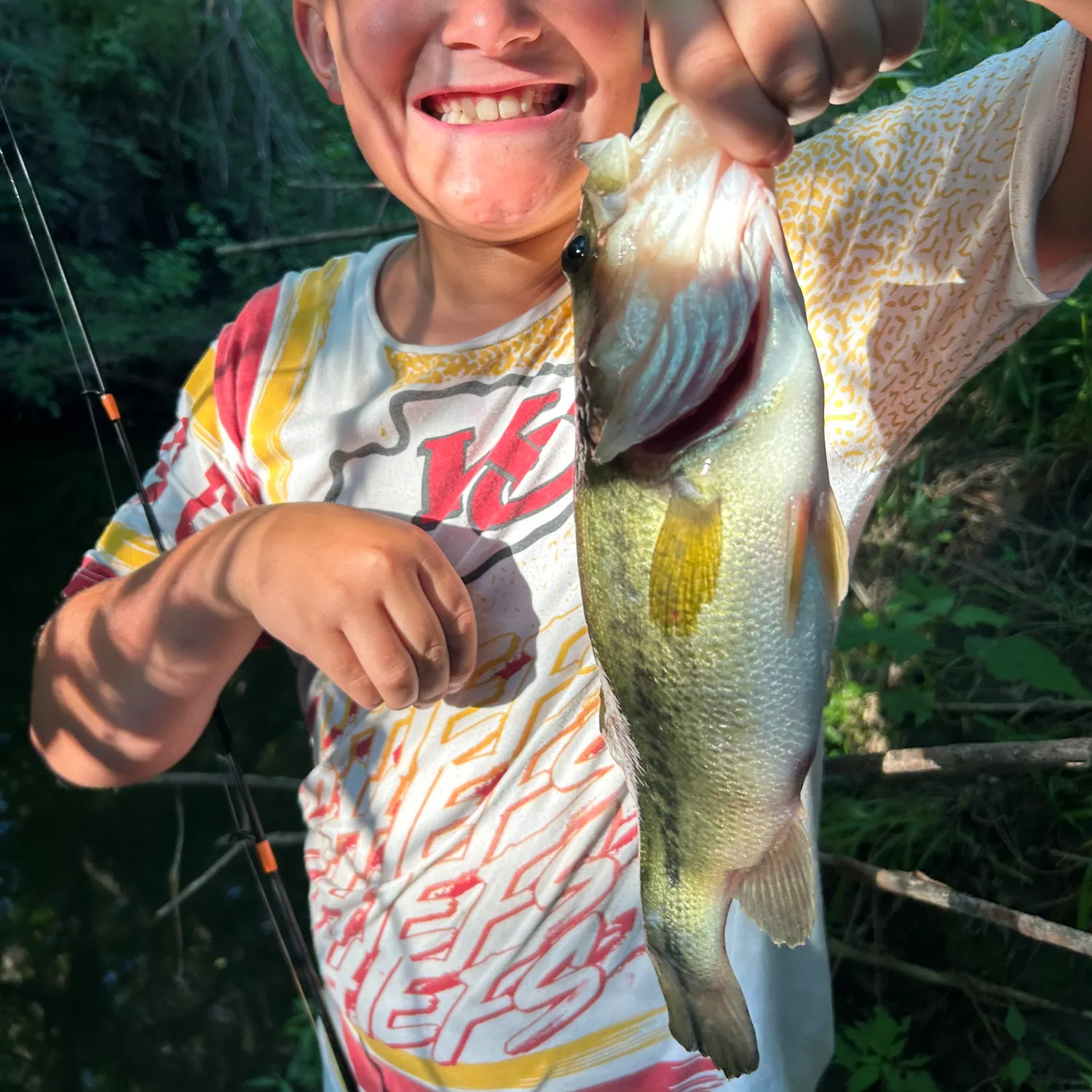 The most recent Spotted bass catches on Fishbrain