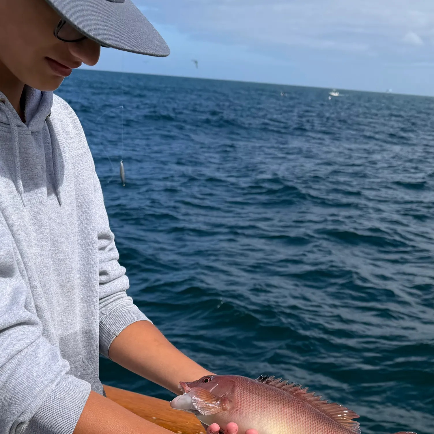 The most recent California sheephead catches on Fishbrain