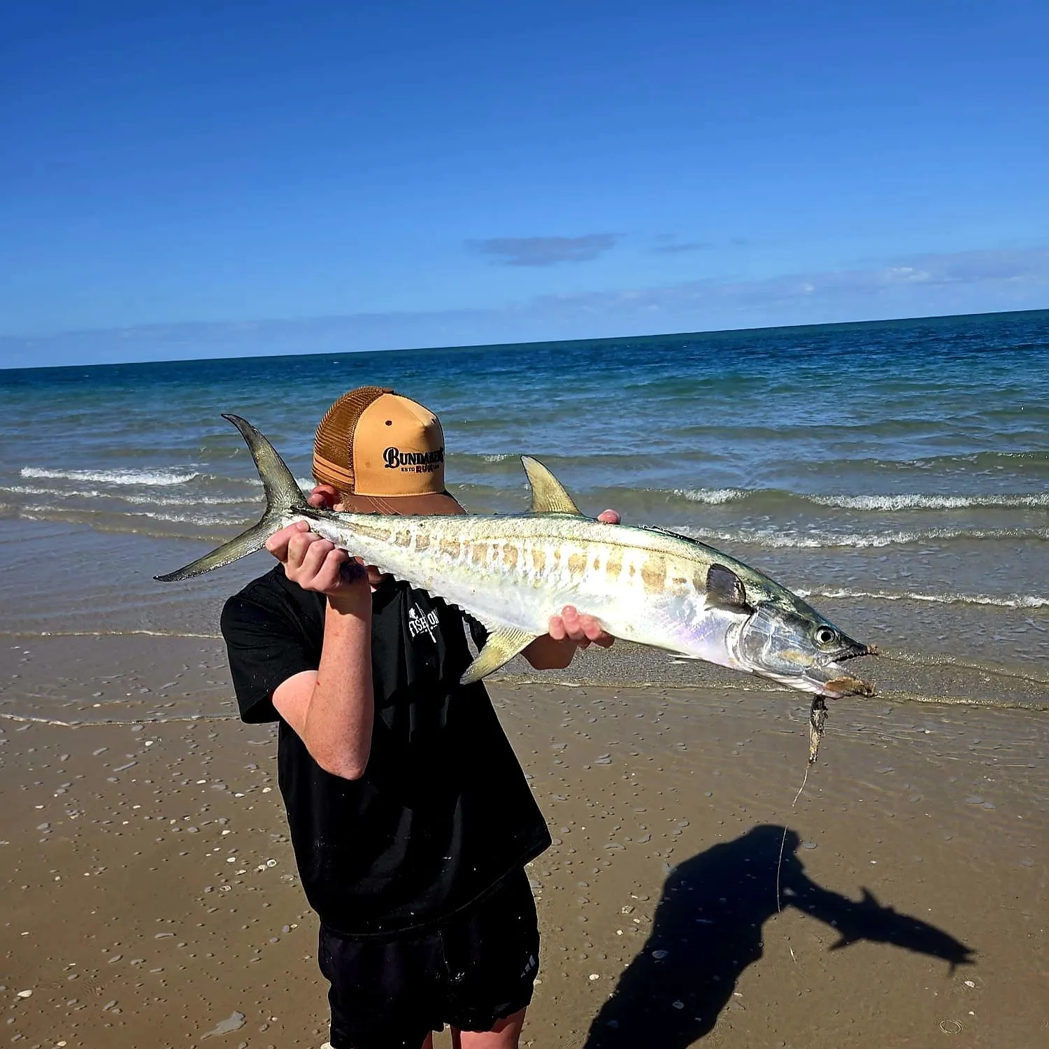 The most recent Narrow-barred Spanish mackerel catches on Fishbrain