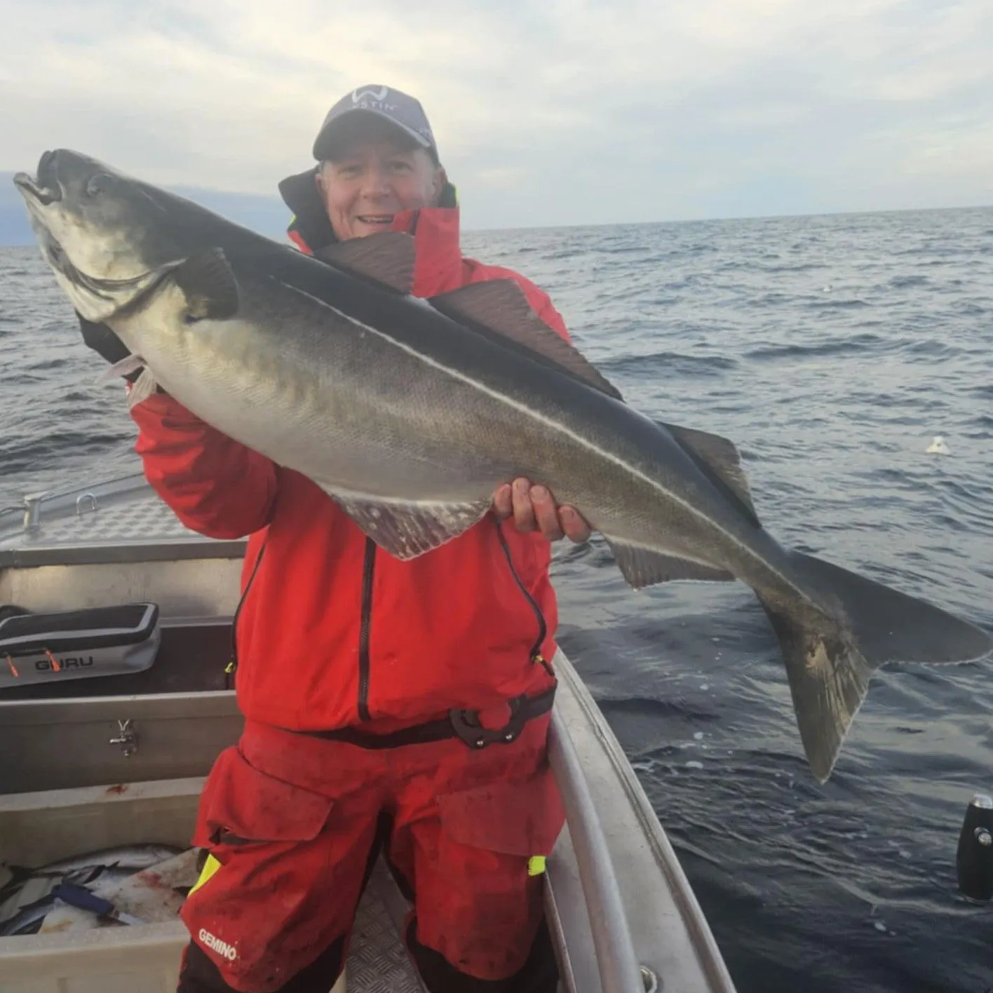 The most recent Atlantic pollock catches on Fishbrain