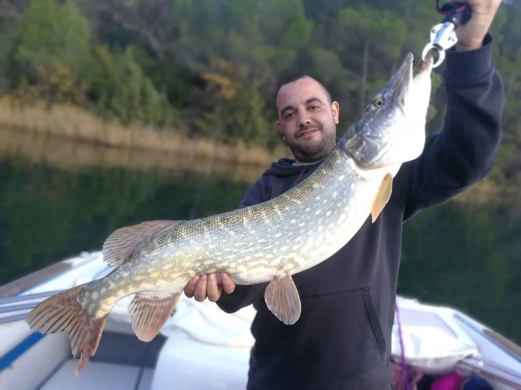 Post image from aperez8411