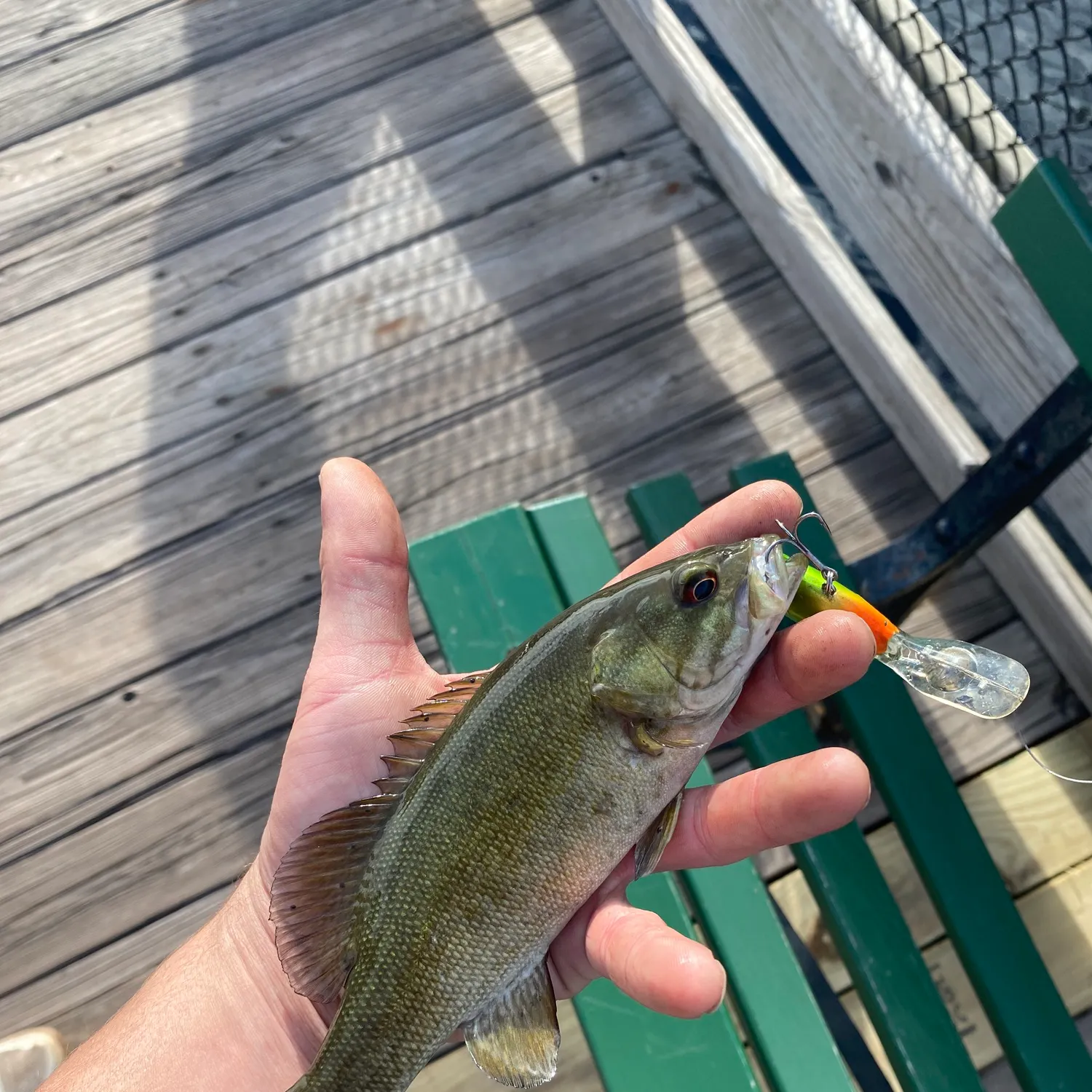 catch
