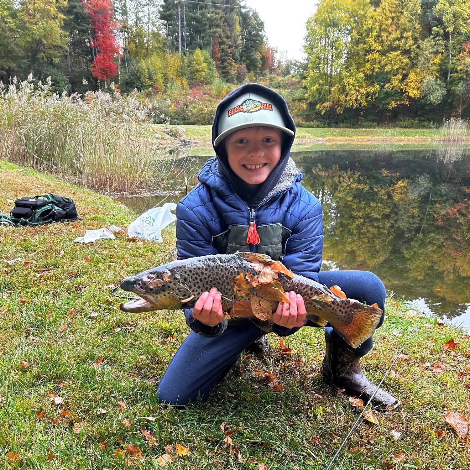 Brown trout caught on Fishbrain