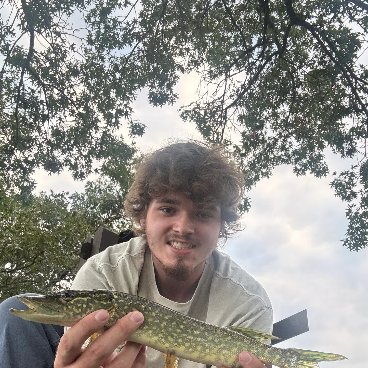 Northern pike caught on Fishbrain