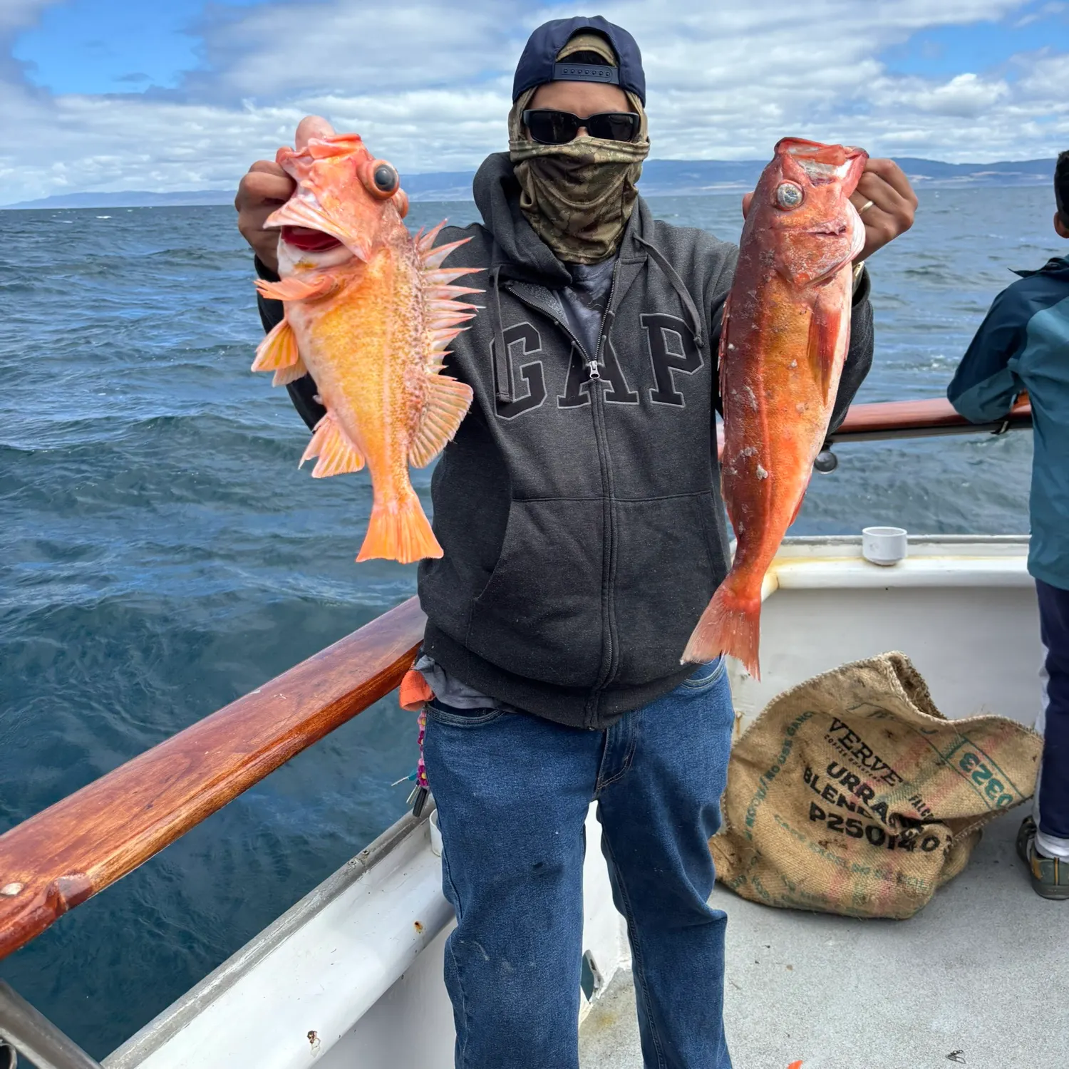The most recent Vermilion rockfish catches on Fishbrain