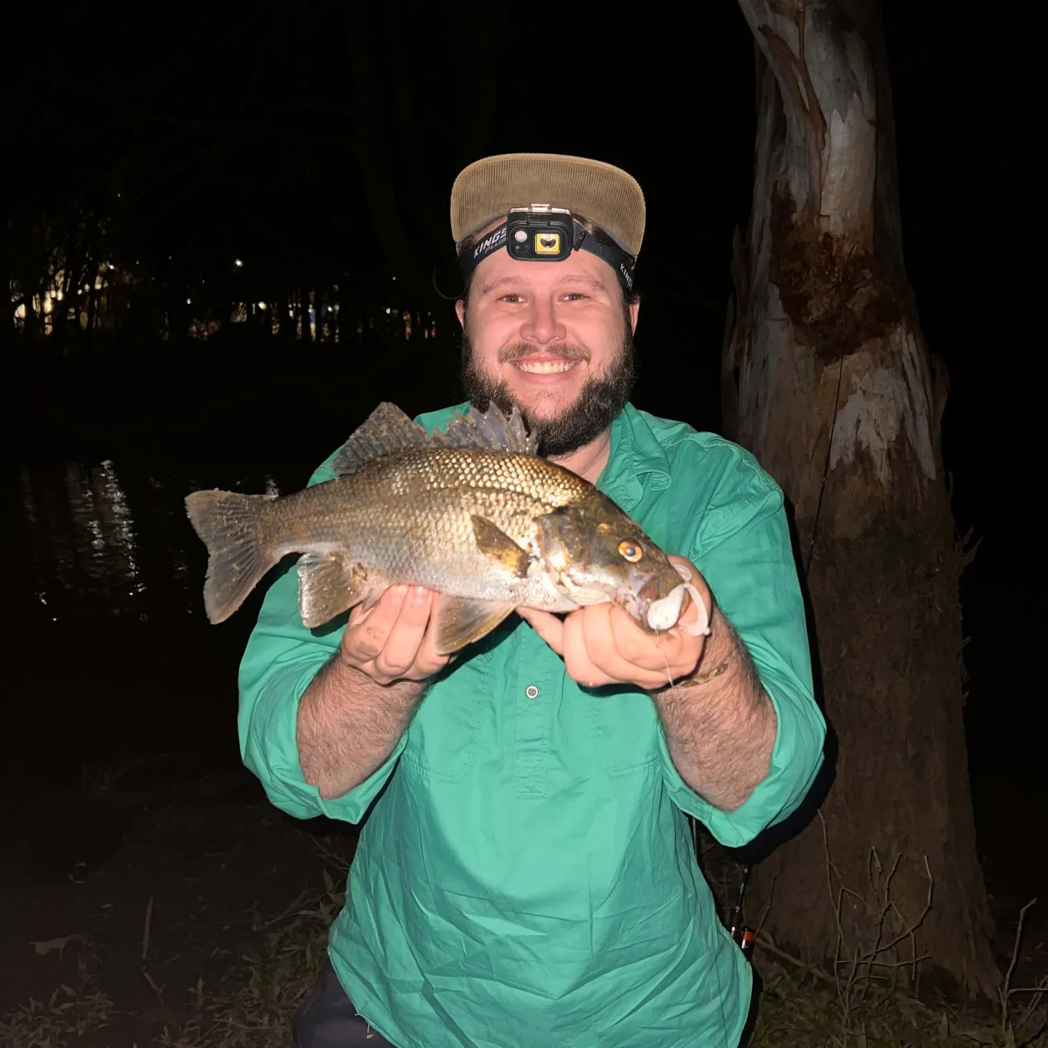 Australian bass caught on Fishbrain