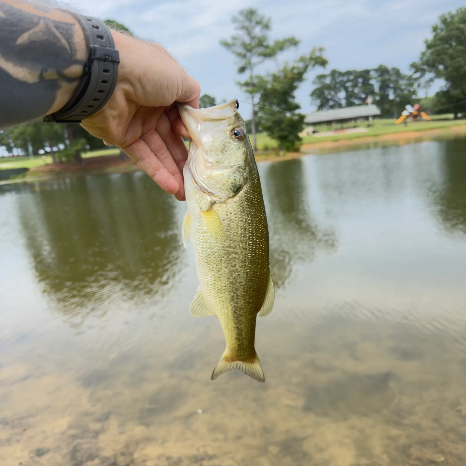 catch