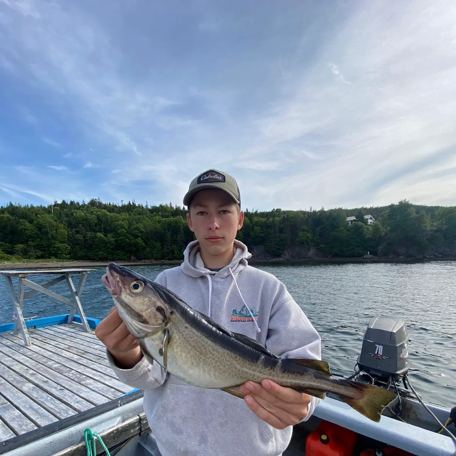 The most recent Atlantic cod catches on Fishbrain