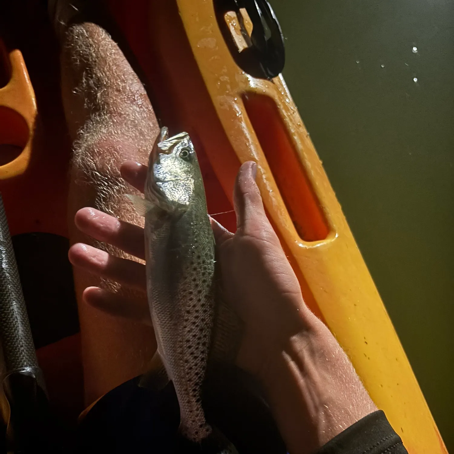 Spotted seatrout caught on Fishbrain