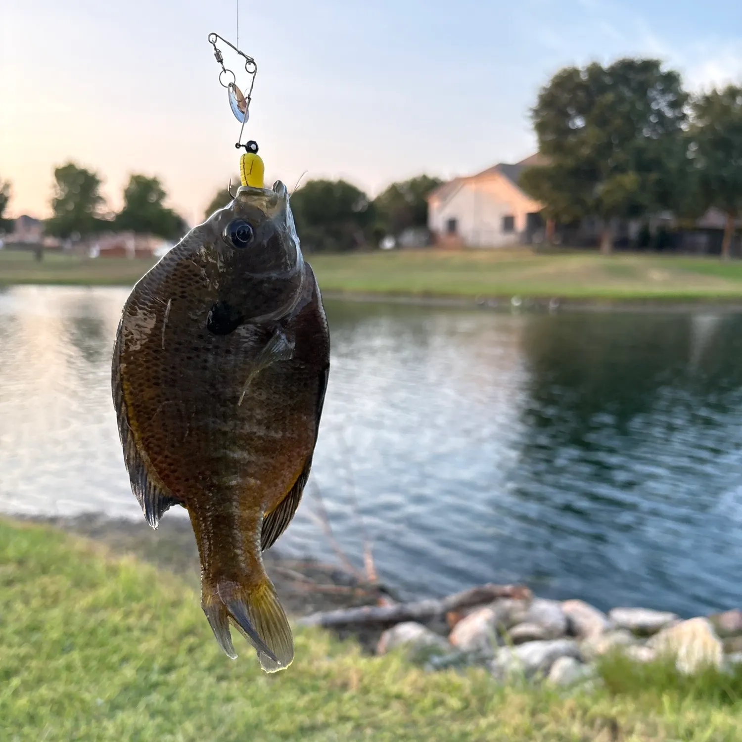 catch