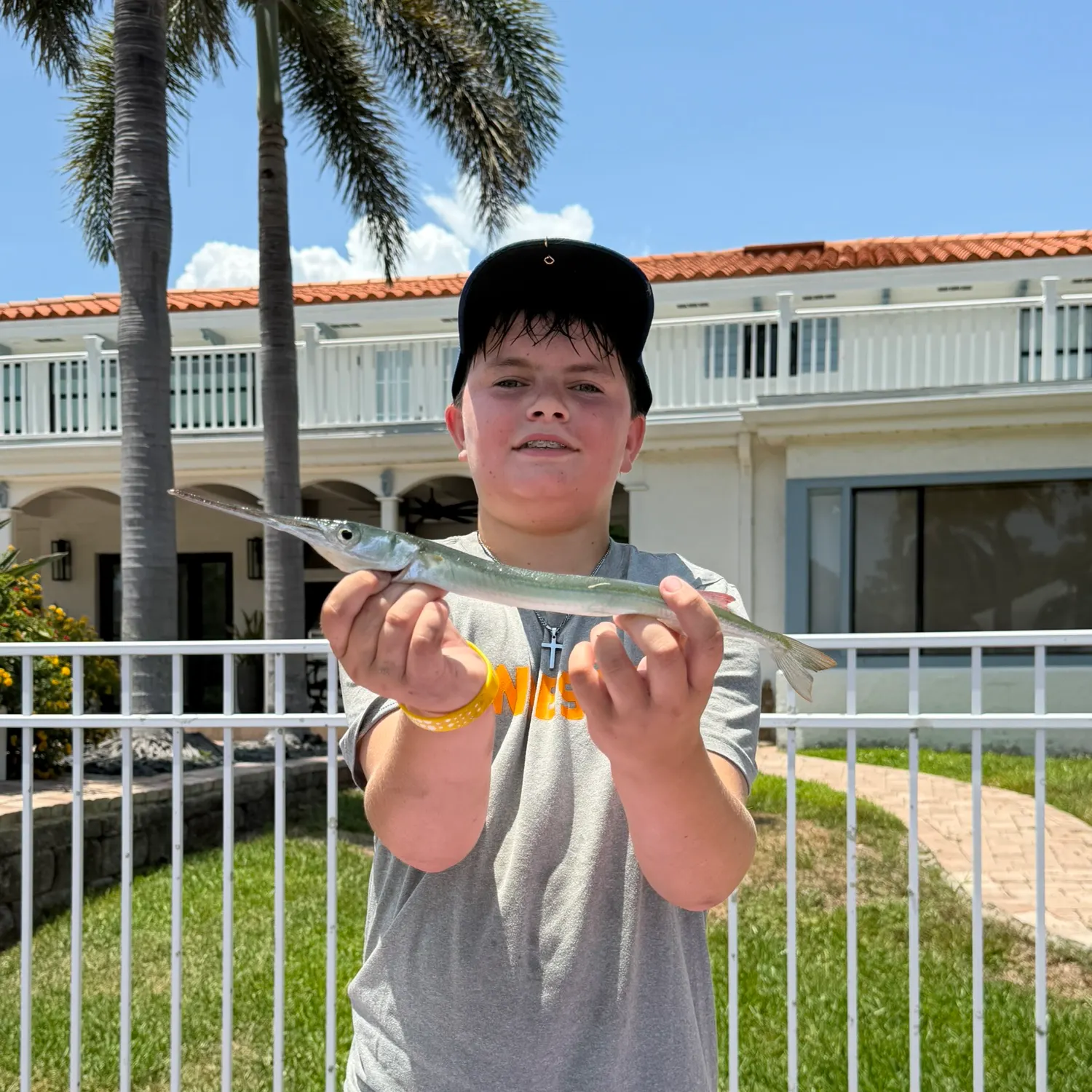 The most recent Redfin needlefish catches on Fishbrain