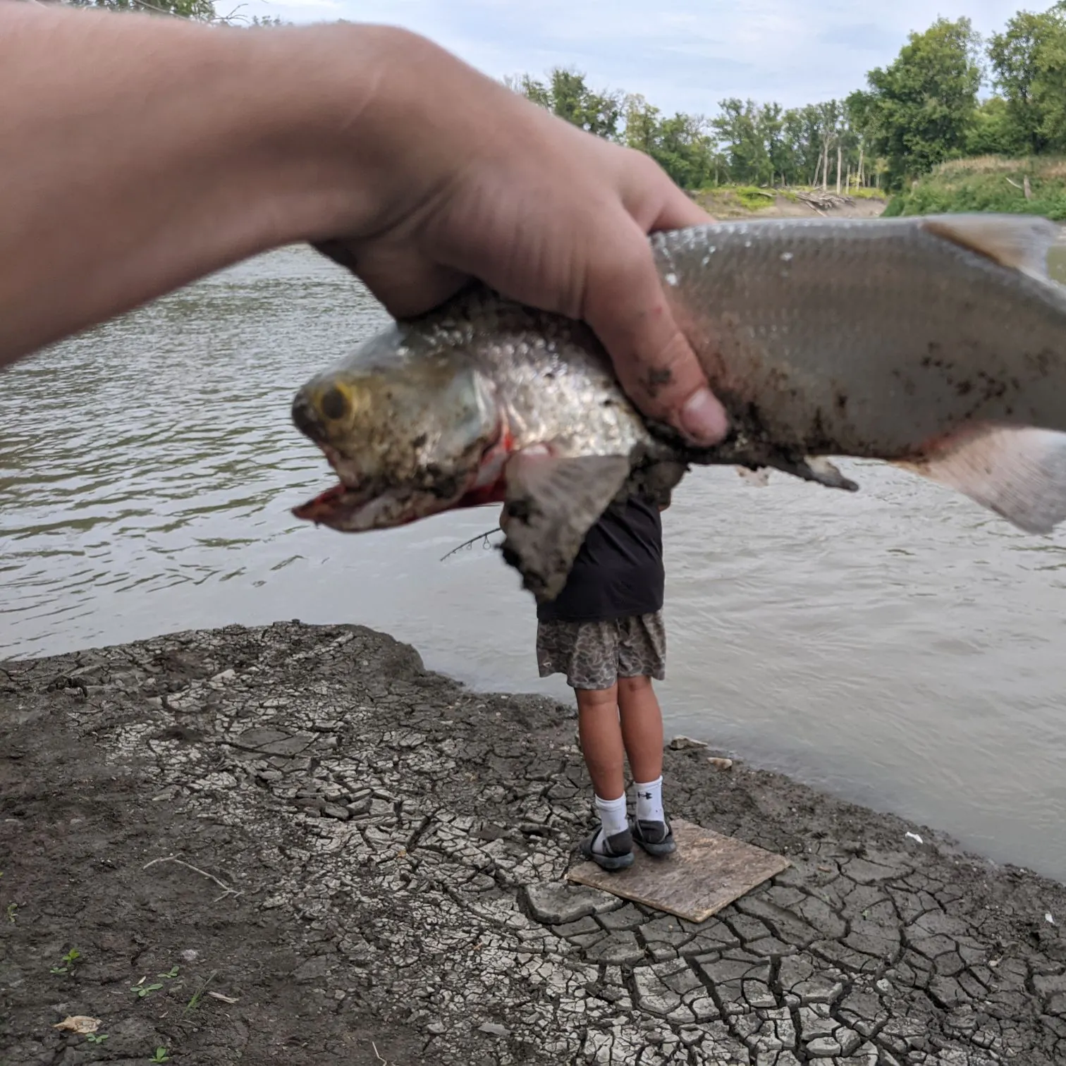 Goldeye caught on Fishbrain