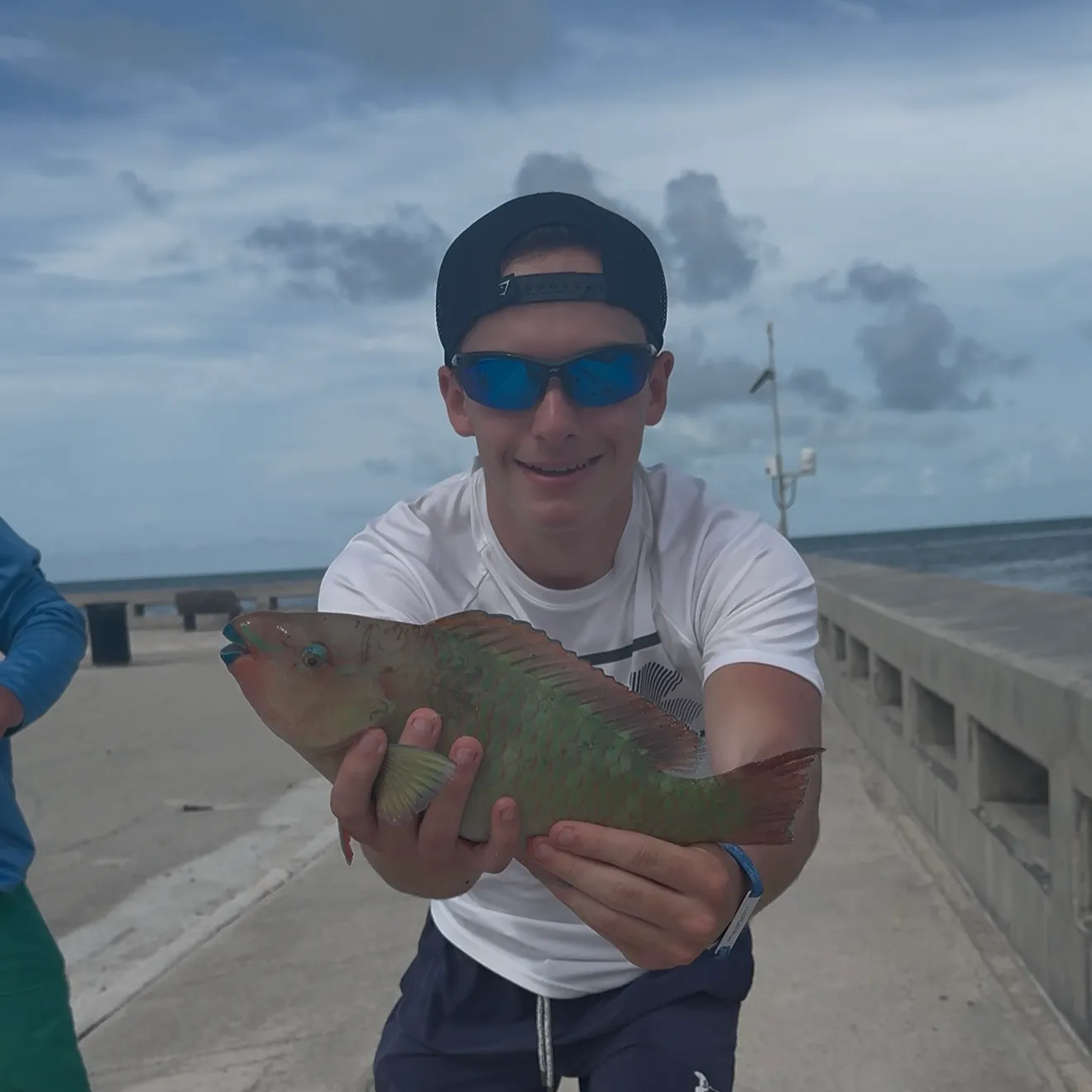 The most recent Common parrotfish catches on Fishbrain
