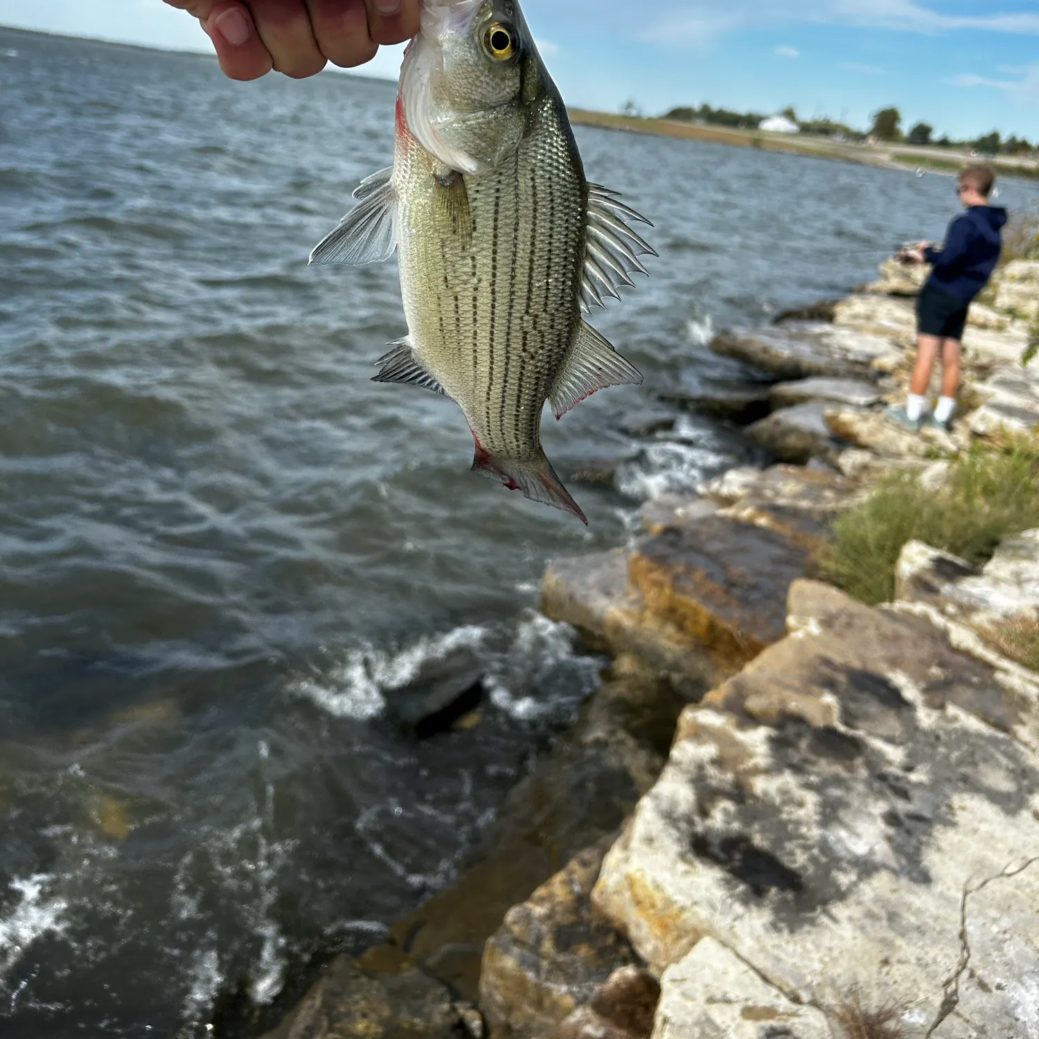 Wiper caught on Fishbrain