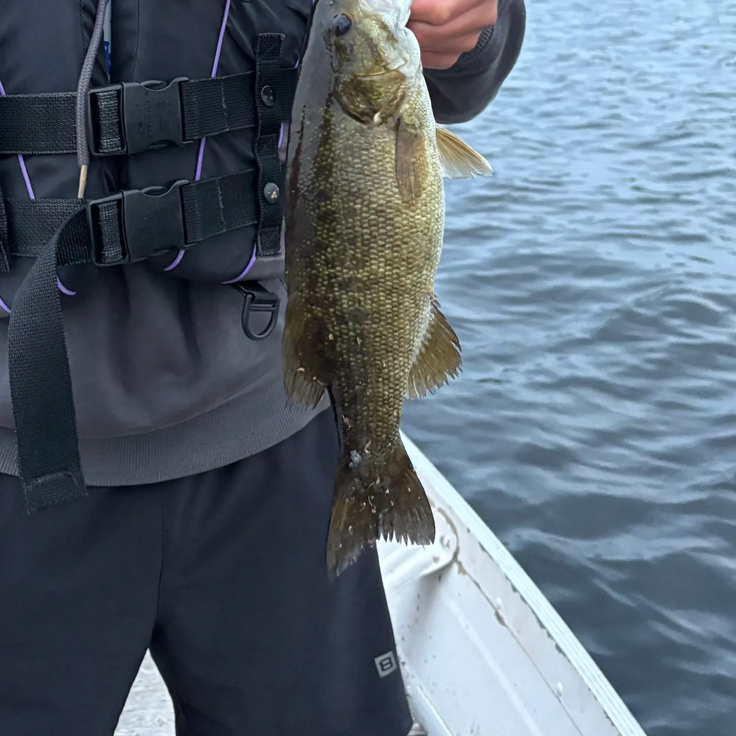 The most recent Smallmouth bass catches on Fishbrain