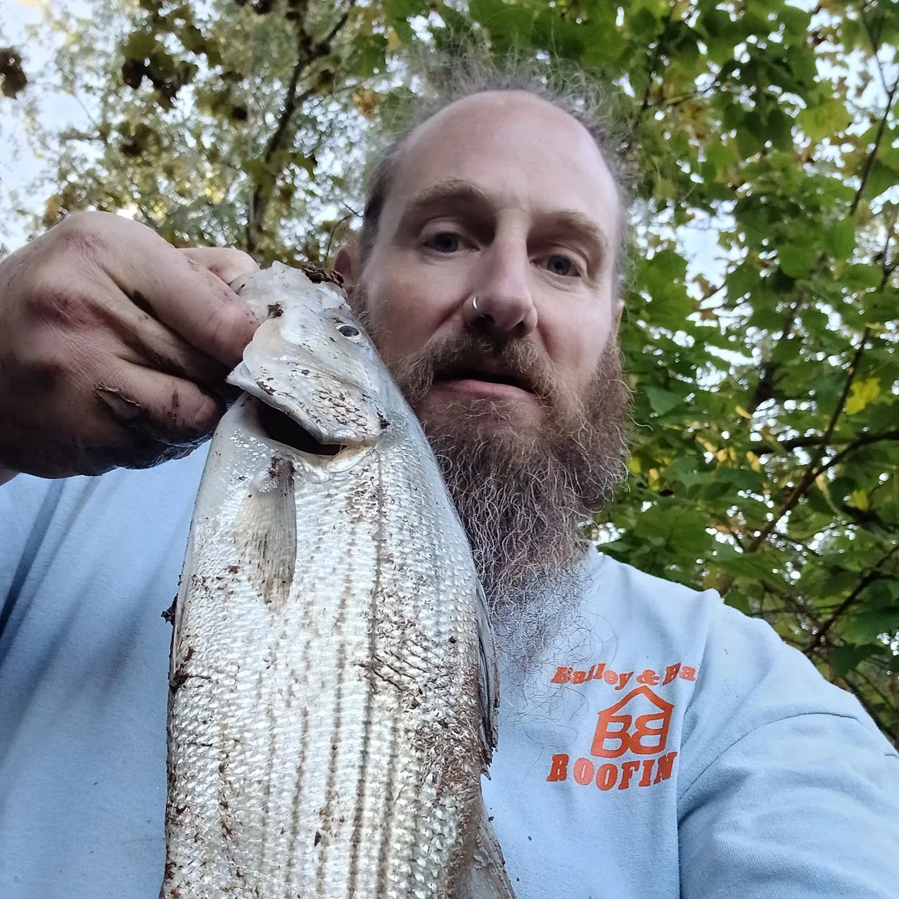 Wiper caught on Fishbrain