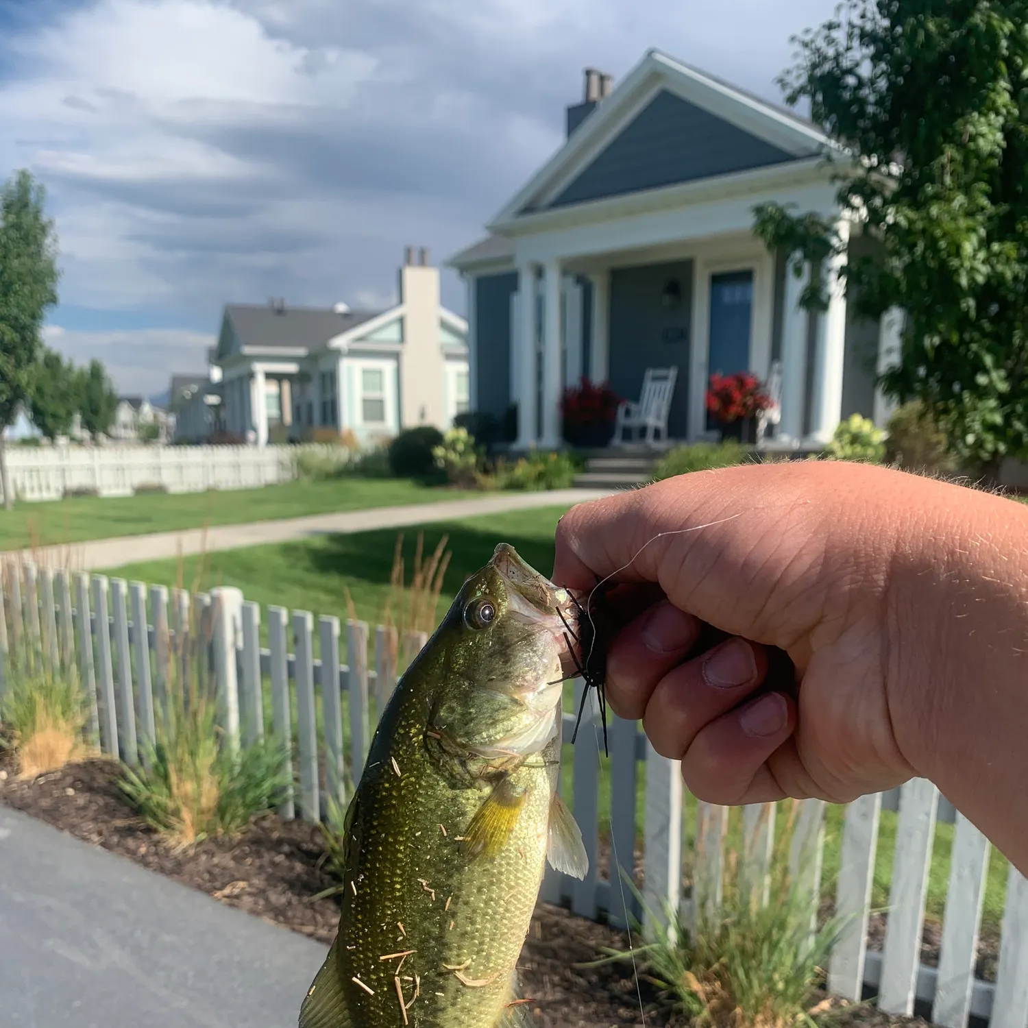catch