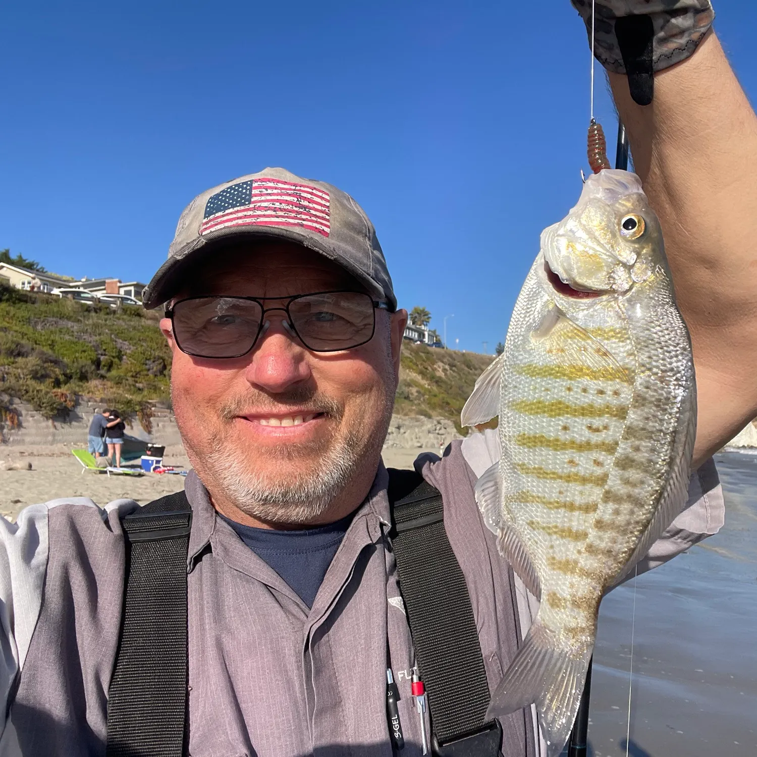 The most recent Barred surfperch catches on Fishbrain