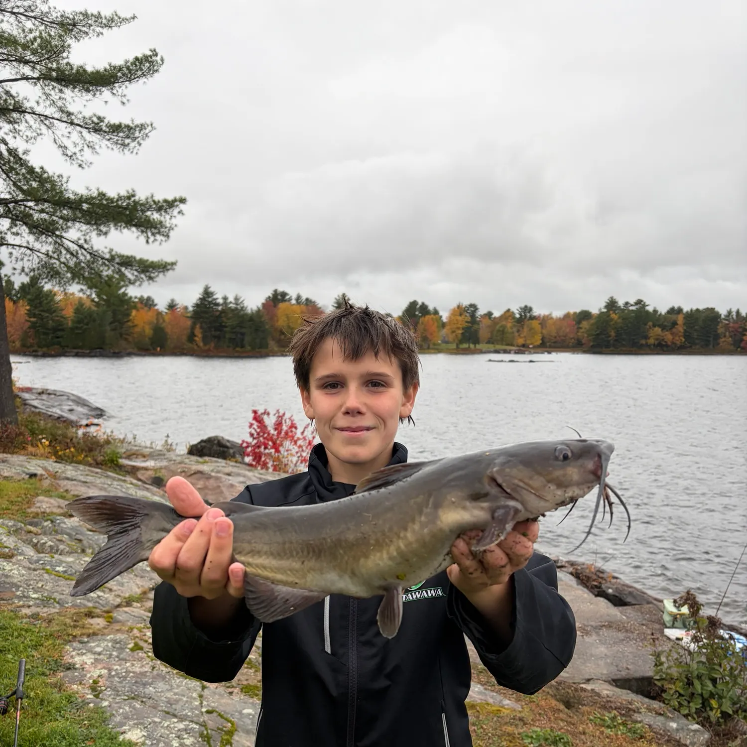 Channel catfish caught on Fishbrain