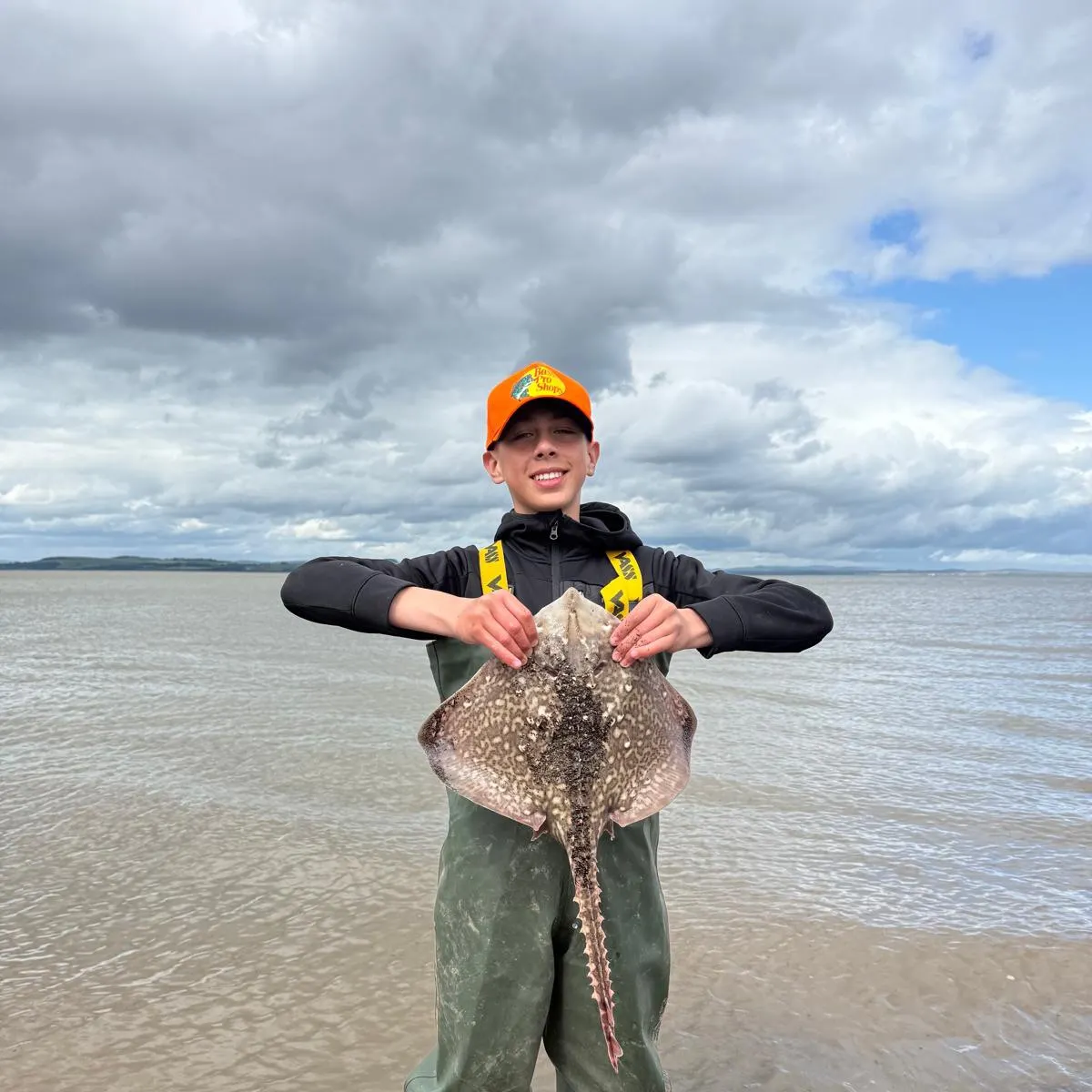 The most recent Thornback ray catches on Fishbrain