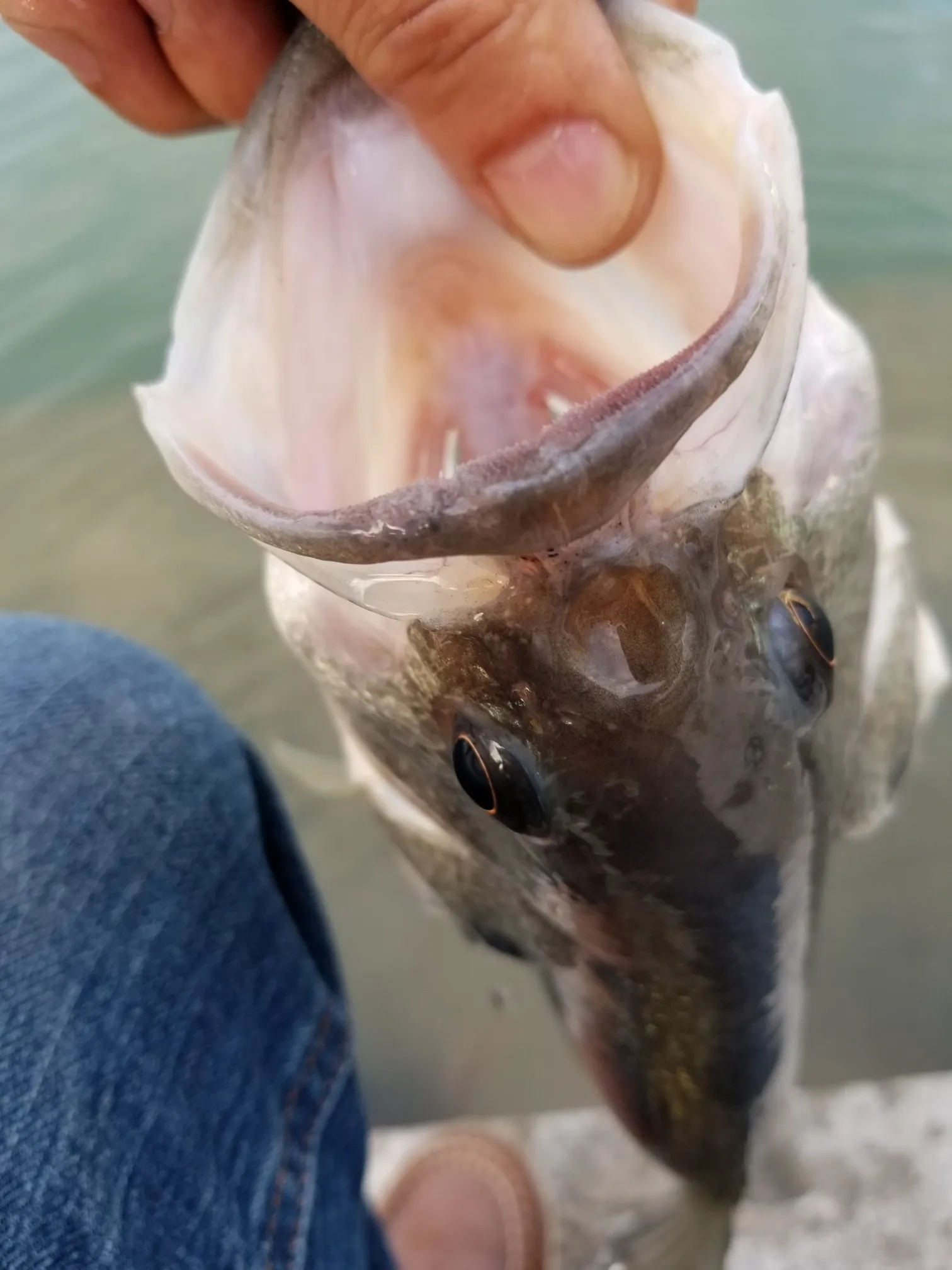 Post image from 96thcast