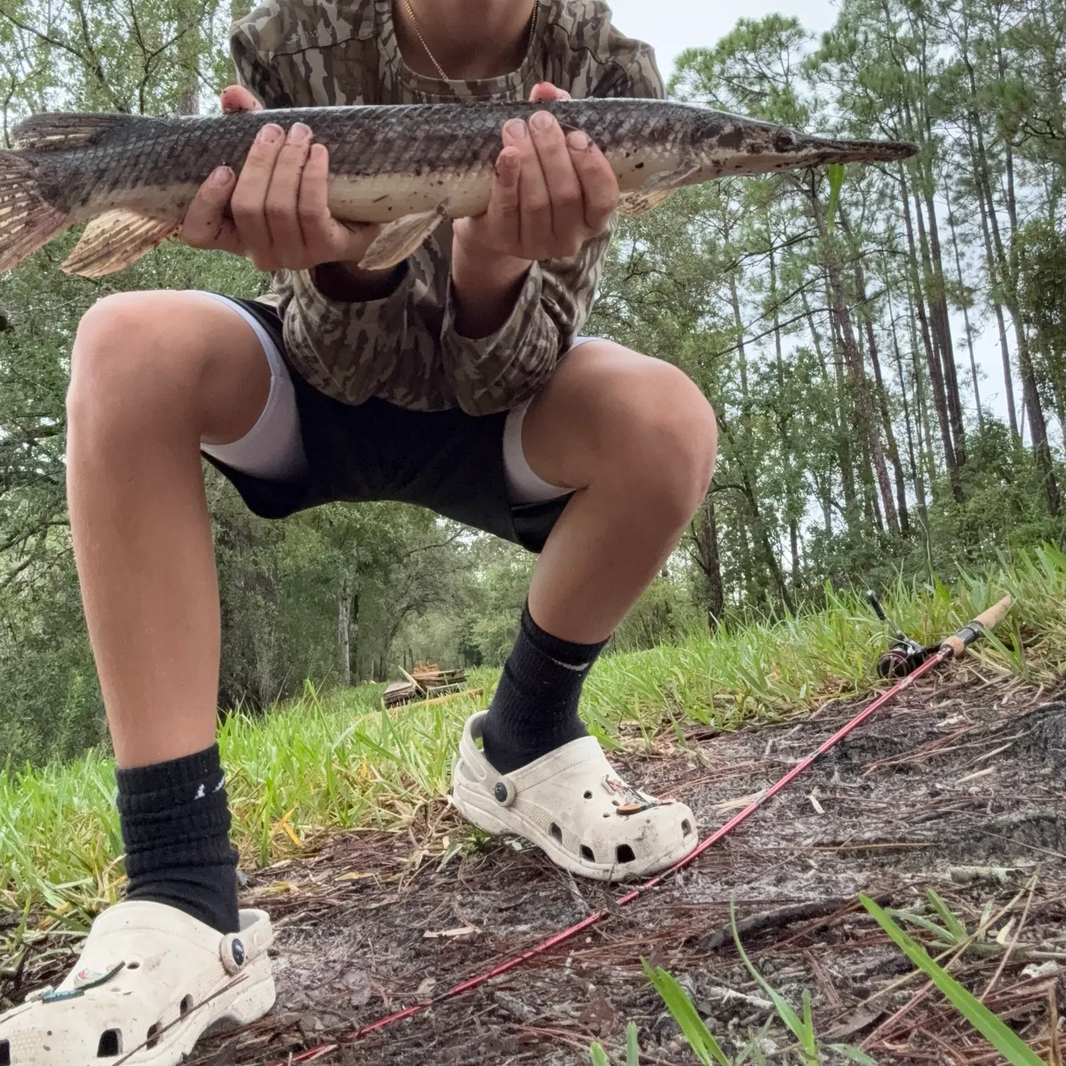 The most recent Florida gar catches on Fishbrain