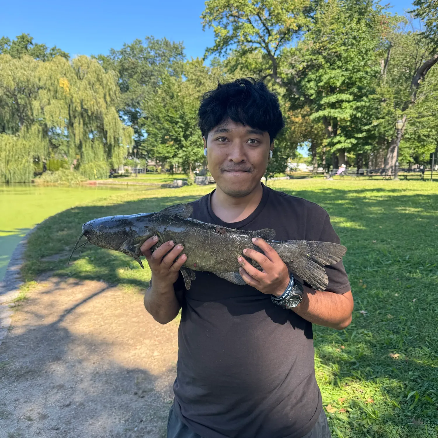 Channel catfish caught on Fishbrain