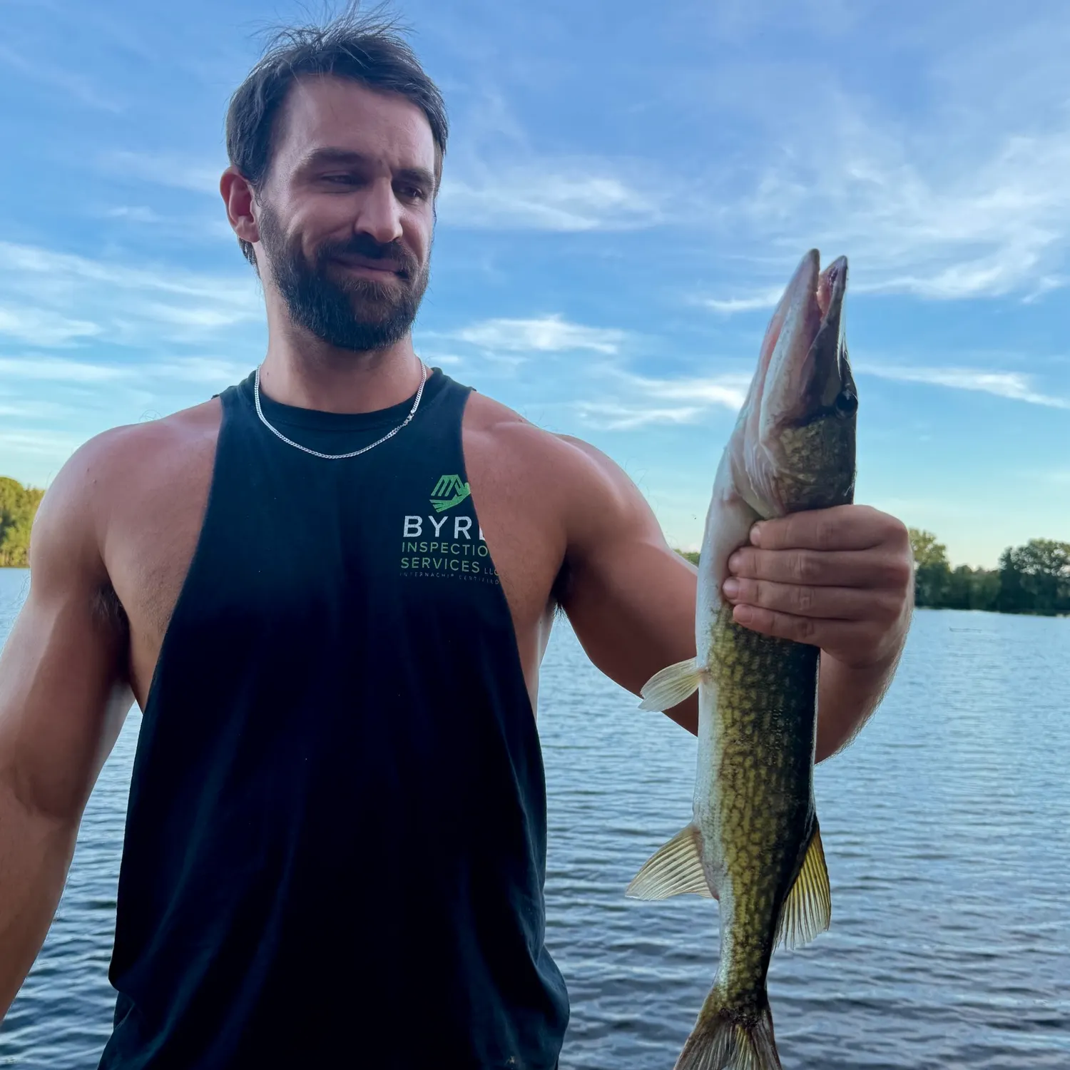 Chain pickerel caught on Fishbrain