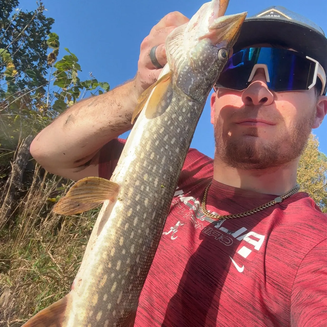 Northern pike caught on Fishbrain