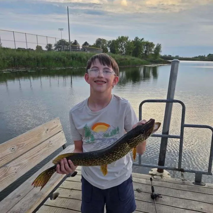 Northern pike caught on Fishbrain