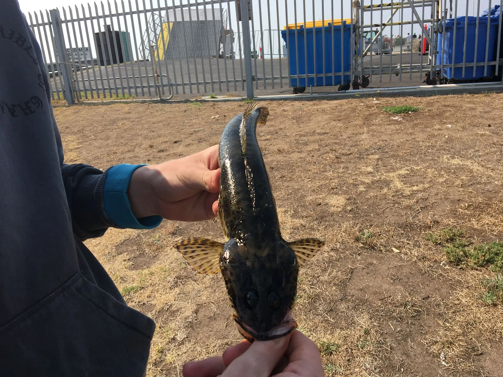 Post image from kbullock7052