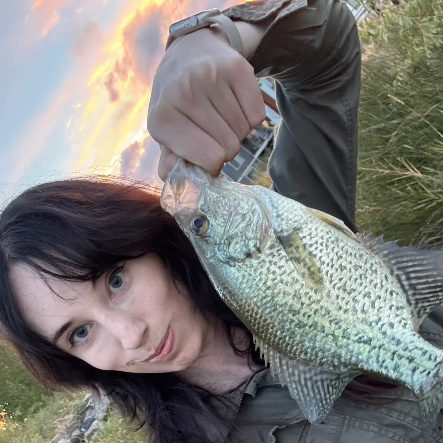 Black crappie caught on Fishbrain