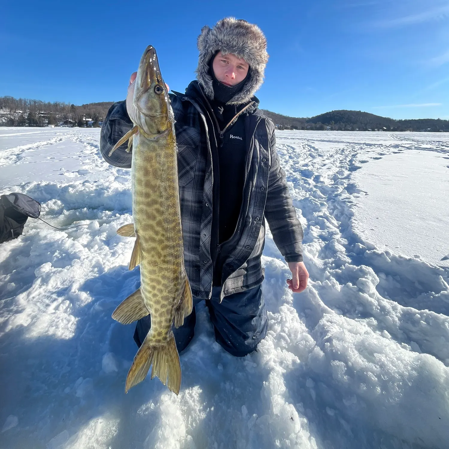 The most recent Muskellunge catches on Fishbrain